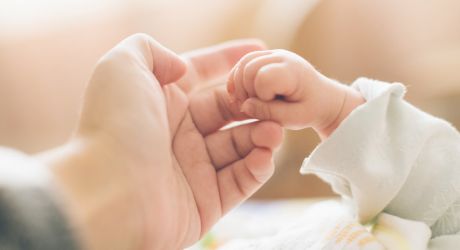 Fecundación in vitro: Pasos e indicaciones