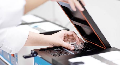Fecundación ICSI e IMSI