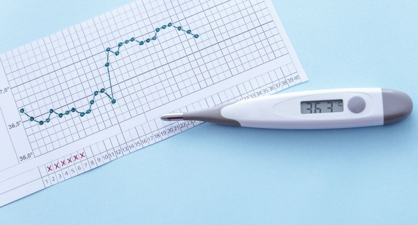 Temperatura basal, ¿qué es?