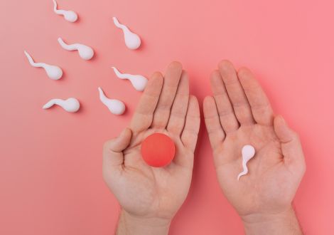 Fertilidad al día: La ovulación, claves del ciclo menstrual