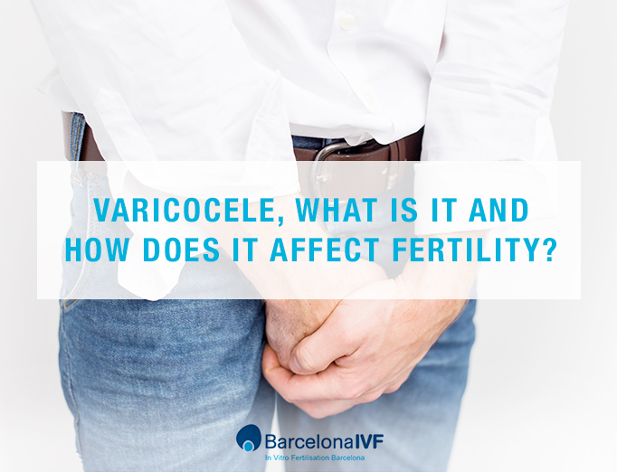 Varicocele How Does It Affect Fertility