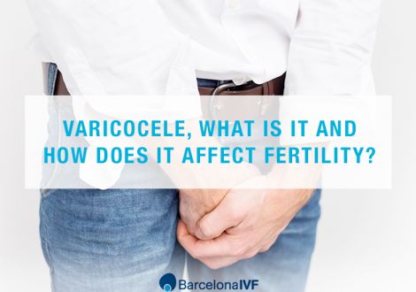 Varicocele, what is it and how does it affect fertility?