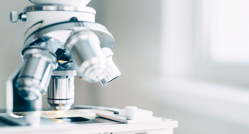 Genetische Tests und assistierte Reproduktion