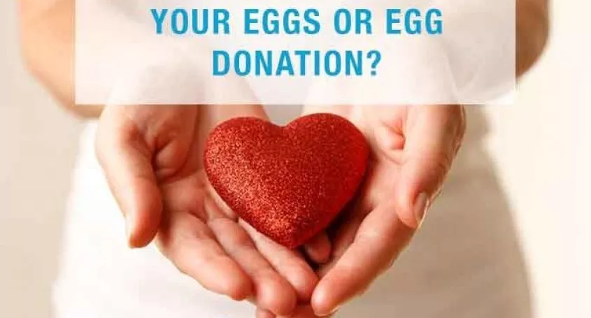 Own eggs or egg donation?