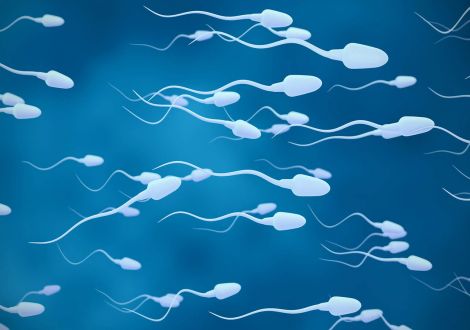 Wie lange kann mein Sperma eingefroren bleiben?