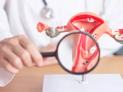 Endometrio Trilaminare: cosa significa?