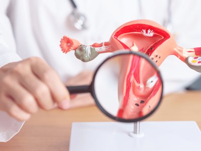 Endometrio Trilaminare: cosa significa?