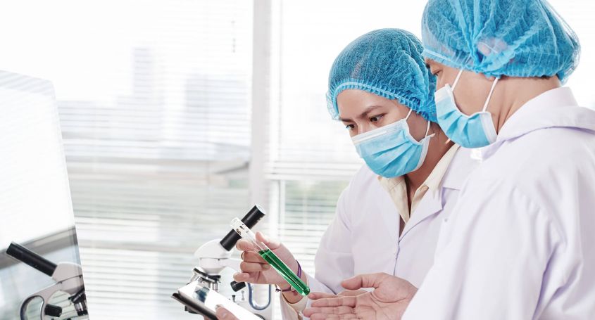 Les Ovocytes dans notre laboratoire