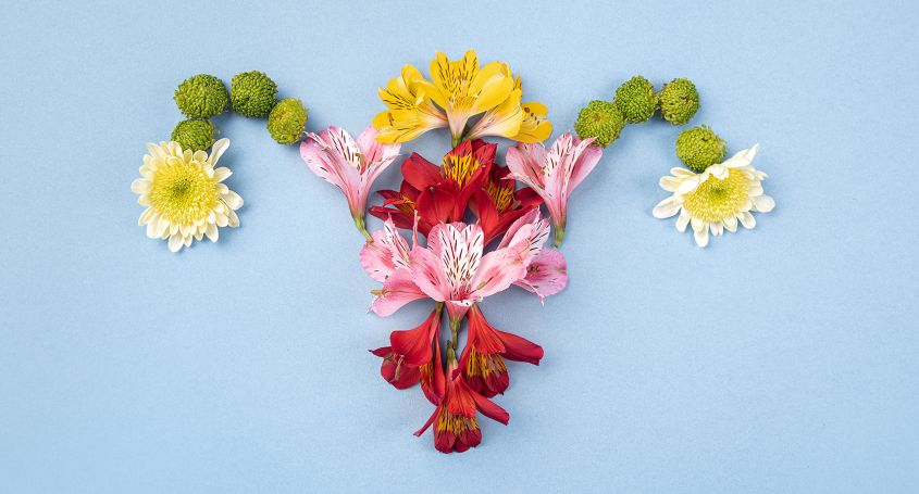 Was ist eine Verjüngung der Eierstöcke? Aktuelle Techniken und was wir von ihnen erwarten können