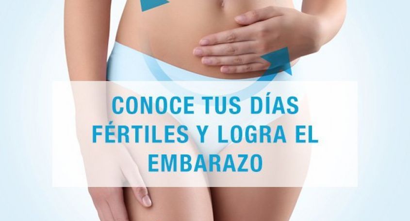 Conoce tus días fértiles y logra el embarazo
