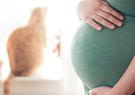 Toxoplasmosis. What is it and how to avoid it ?