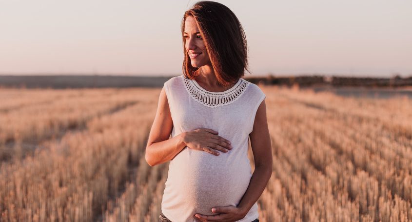 Der Transfer von zwei Embryonen: Beeinflusst er die Erfolgsquote einer Schwangerschaft?