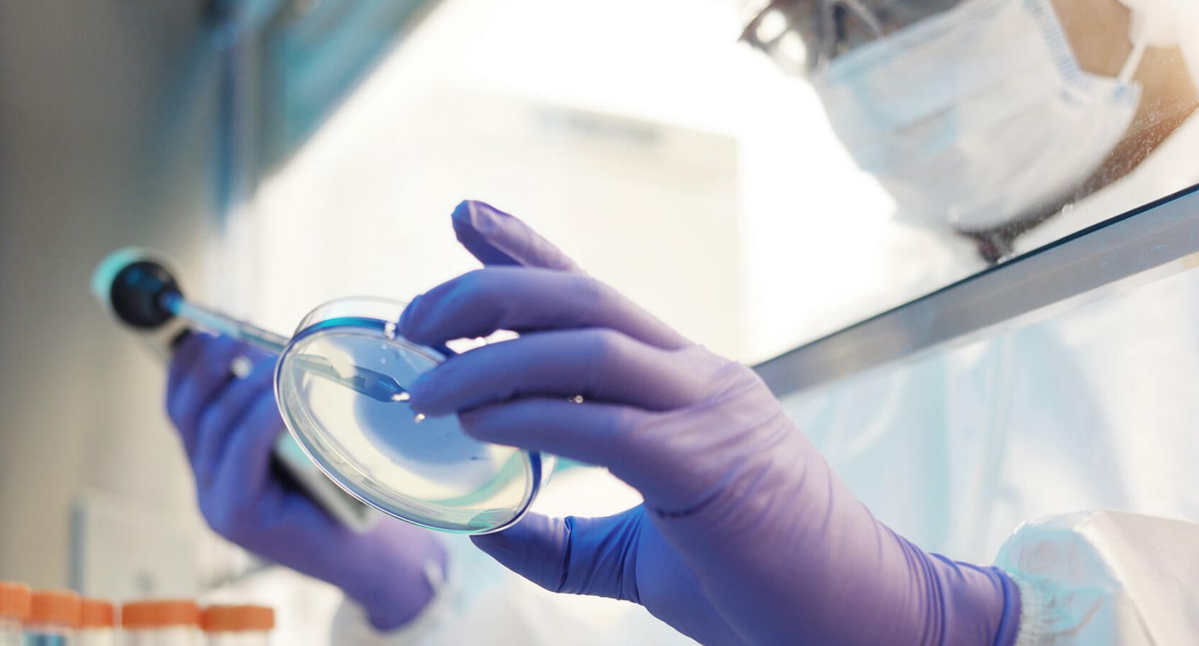Hereditary Diseases Barcelona IVF hereditary-diseases-barcelona-ivf
