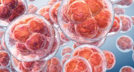 Combien de temps faut-il pour l’implantation de l’ovule fécondé ?