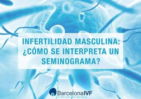 Infertilidad masculina: ¿Cómo se interpreta un seminograma?