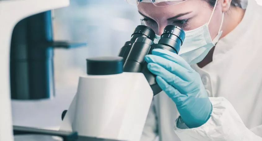 Donation and adoption of embryos