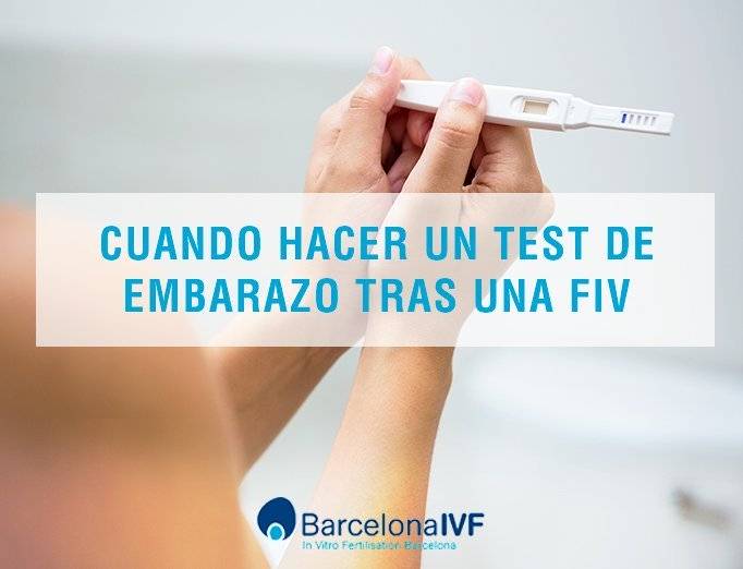 Completo Mona Lisa Preciso Cuando hacer un test de embarazo tras una FIV | Barcelona IVF
