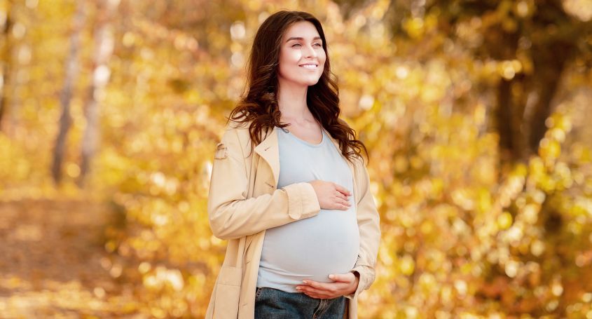 How does implantation take place?