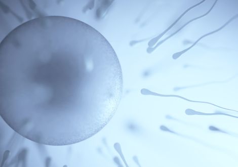 Are natural fertility and IVF compatible?