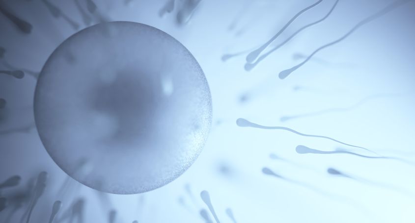 Are natural fertility and IVF compatible?