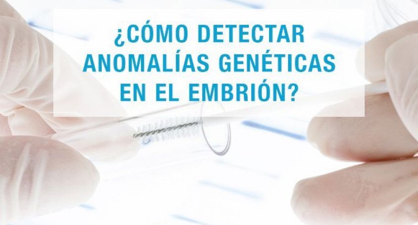 DGP o Diagnóstico Genético Preimplantacional | Barcelona IVF