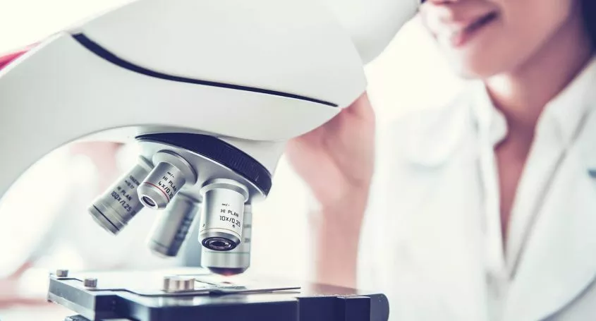 Est-ce qu´un follicule ovarien et un ovule sont la même chose ?