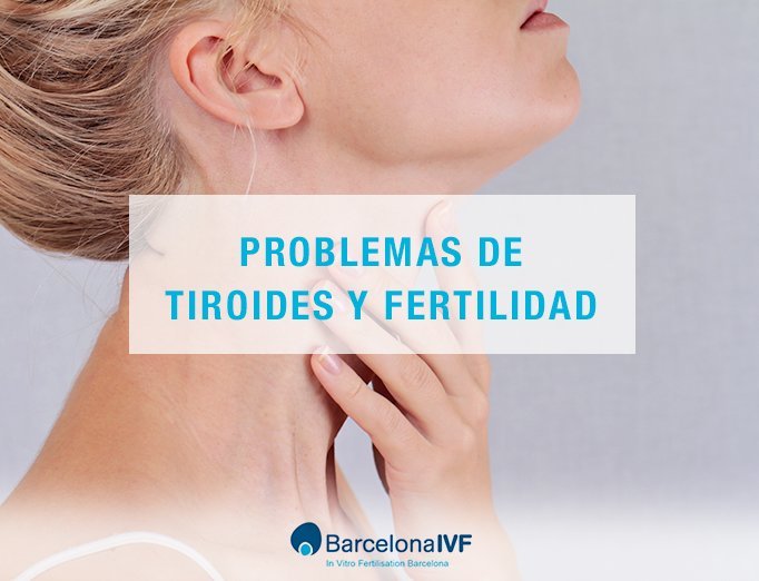 papel Melbourne becerro Tiroides y fertilidad: Relación | Barcelona IVF