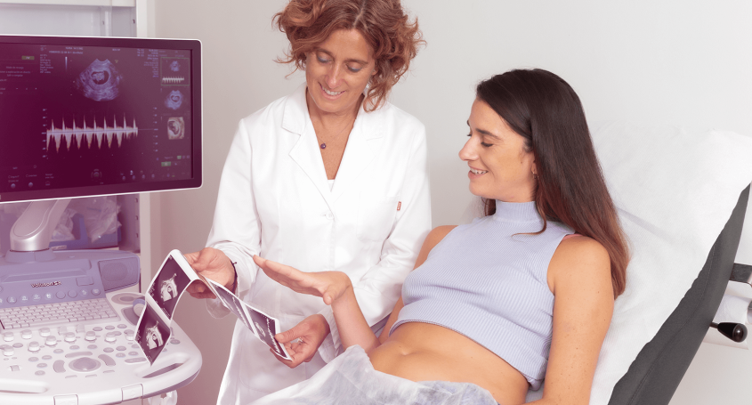 ¿En qué consiste el estudio de meiosis? 