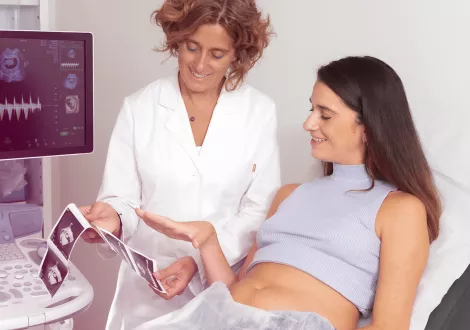 ¿En qué consiste el estudio de meiosis? 