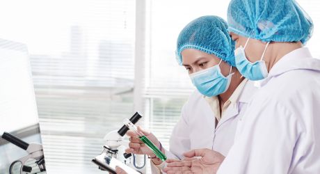 Die Eizellen in unserem Labor