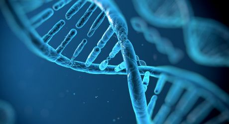 Diagnostic génétique pré-implantatoire