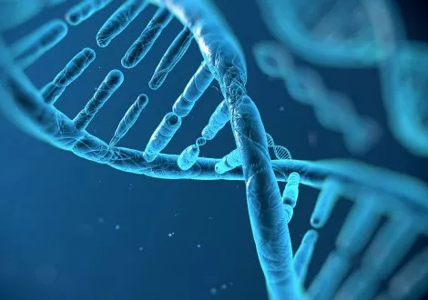 Diagnostic génétique pré-implantatoire