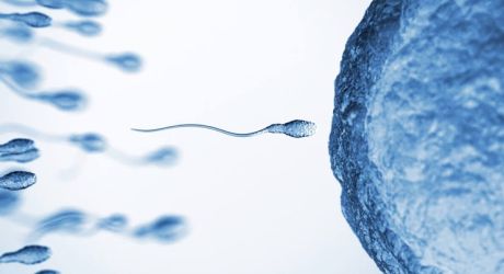 ¿Necesitas a un donante de semen?