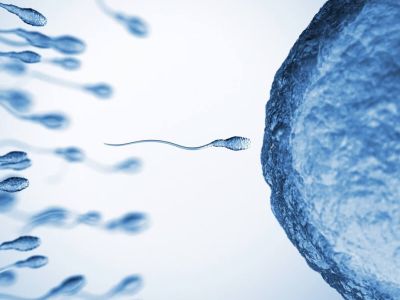 ¿Necesitas a un donante de semen?