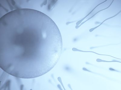 La fertilité naturelle et la FIV sont-elles compatibles?