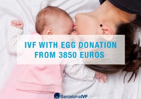 IVF with egg donation from 3850 euros