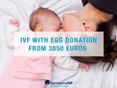 IVF with egg donation from 3850 euros