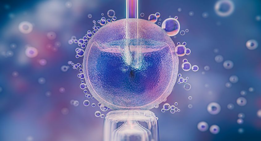 El paper de la epigenètica a la reproducció assistida: molt més que genètica