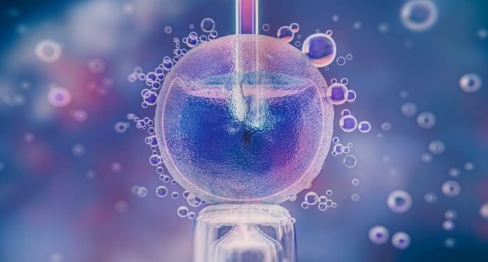 El paper de la epigenètica a la reproducció assistida: molt més que genètica