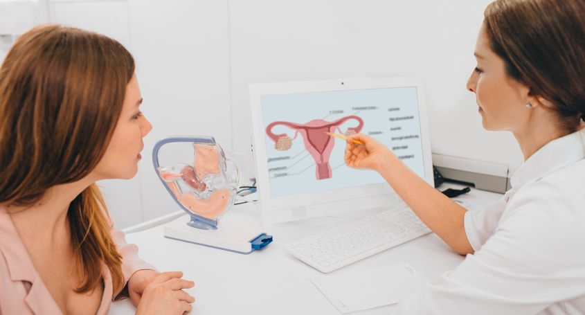 The endometrium and fertility: What pathologies can affect it?