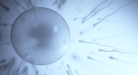 Fertilidad natural y FIV, ¿Son compatibles?