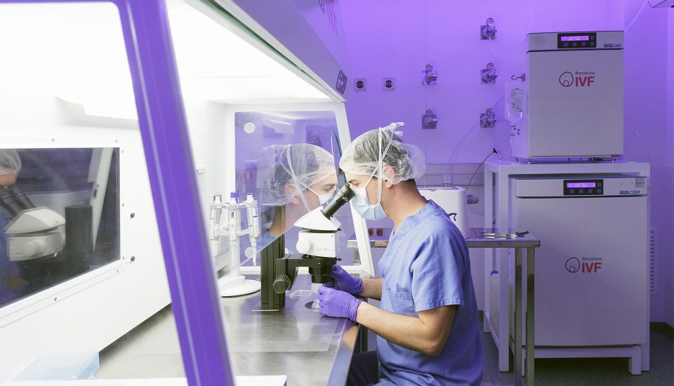 Innovació al teu servei