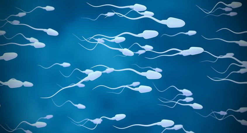 How long can my sperm be frozen?
