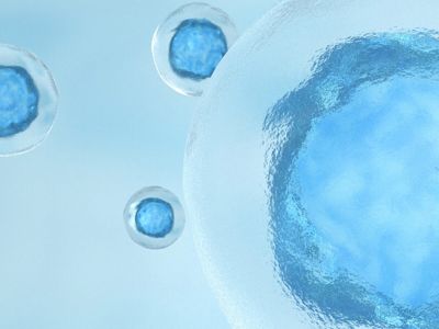 Mètode ROPA a Barcelona