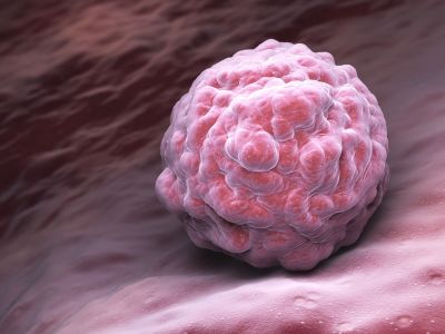 Quand se produit la fécondation après l’ovulation ?