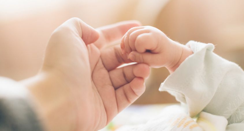 In-vitro-Fertilisation: Phasen und Indikationen