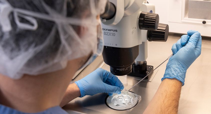 FIV chez Barcelona IVF : taux de réussite, contexte clinique et attentes réalistes