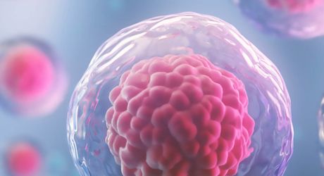 Embryo donation Spain