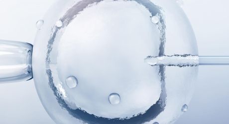 Fecondazione in vitro Spagna