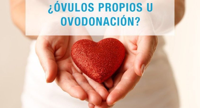 Eigene Eizellen oder Eizellspende?